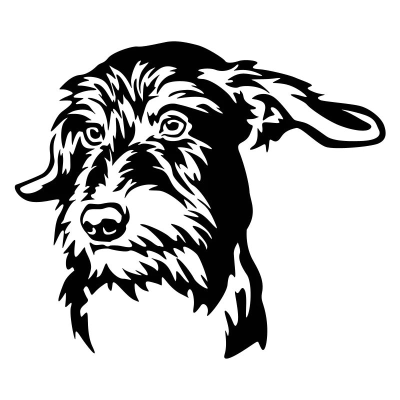 Dachshund Head