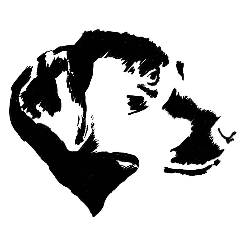 Labrador Retriever im Profil, einfarbig