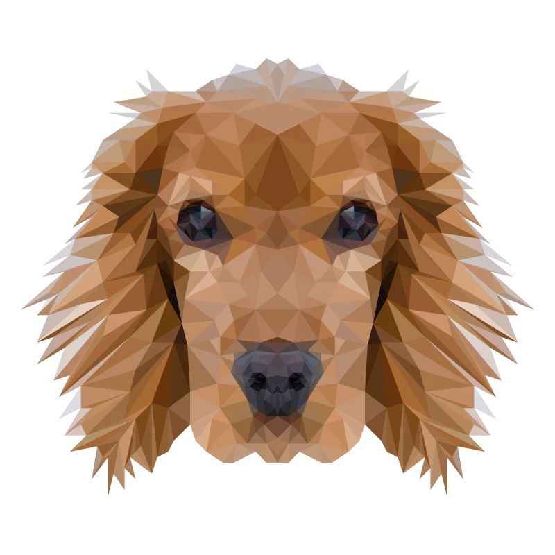 Cocker Spaniel Dog Polygon Design