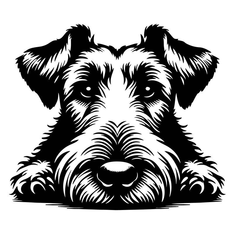 Irish Terrier Head with Paws