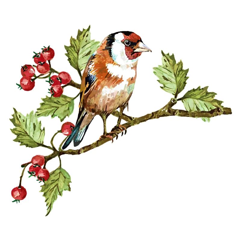 Bunter Vogel