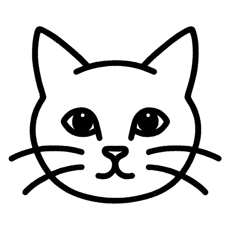 Chat Chat Chat