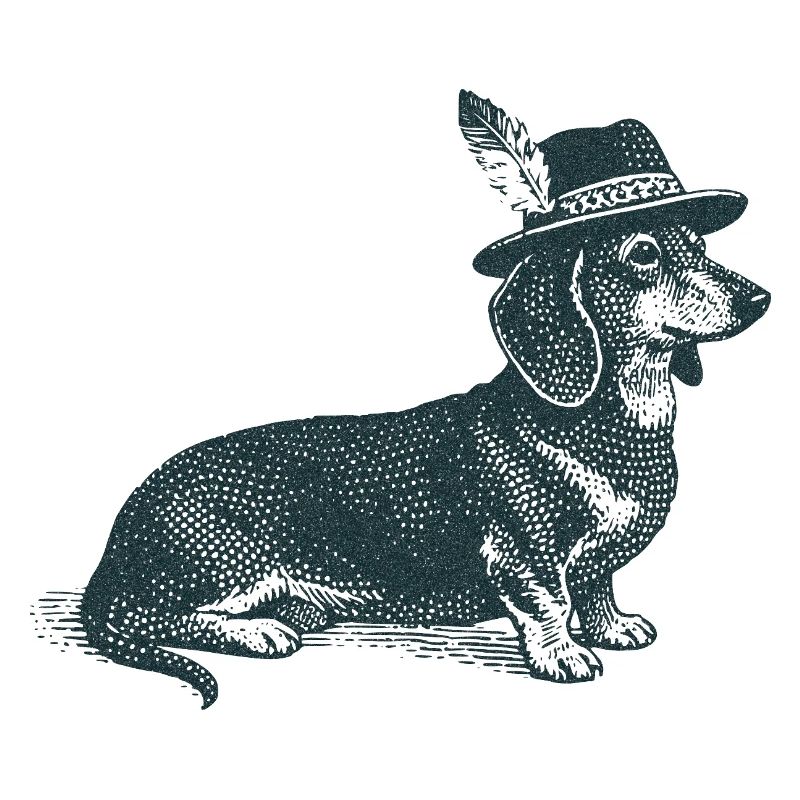 Dachshund with hat