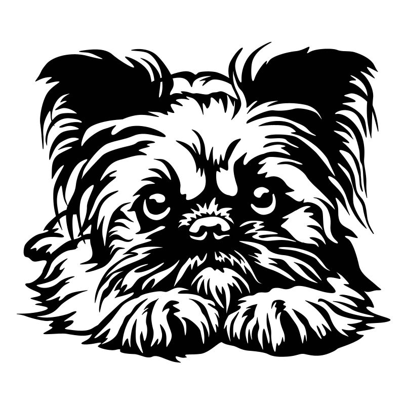 Brussels Griffon Head