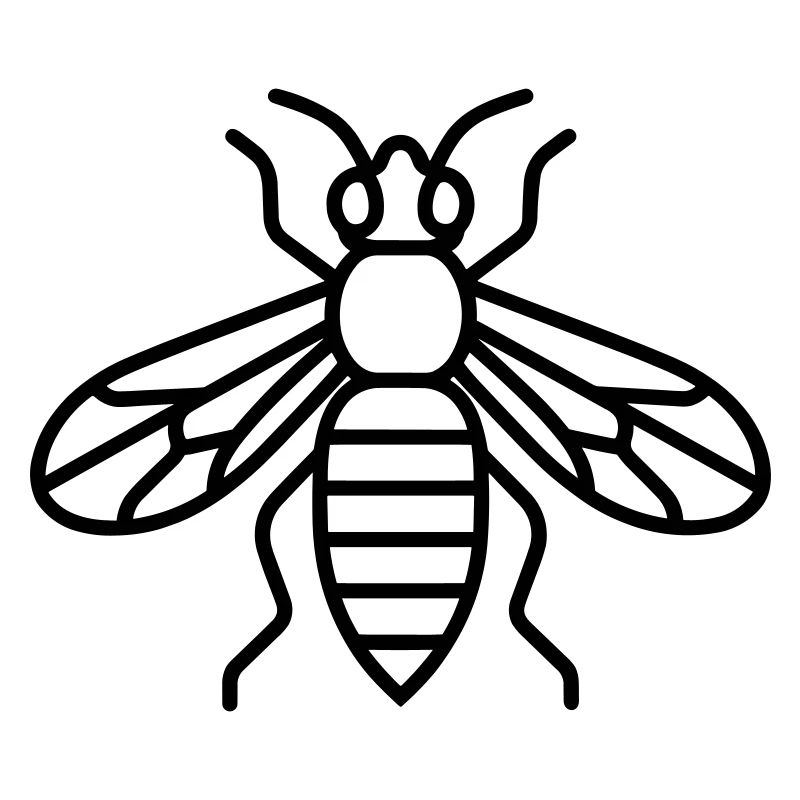 wasp