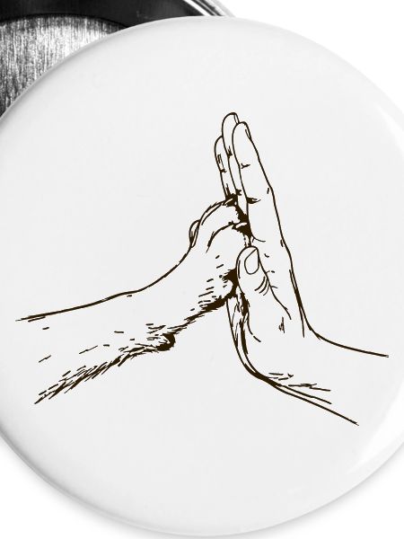 hand-pfote