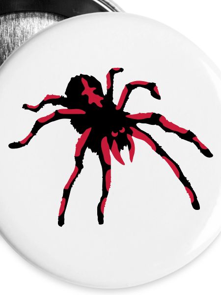 Tarantula Spider