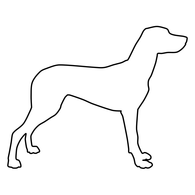 Vizla Contours 1
