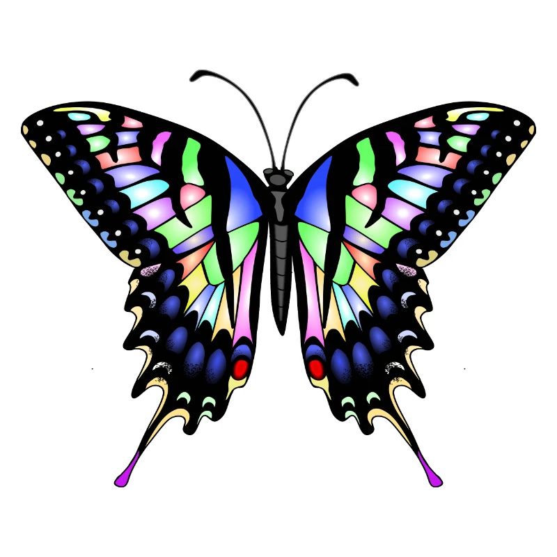 Dovetail Butterfly