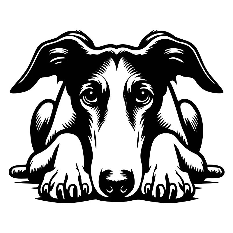 Galgo Head with Paws