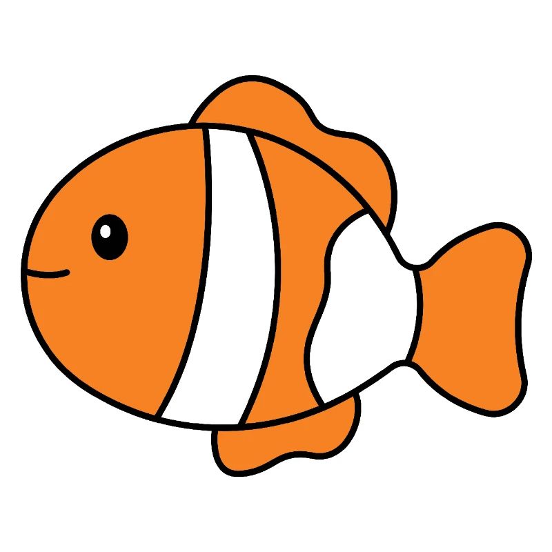 Tropical Clownfish