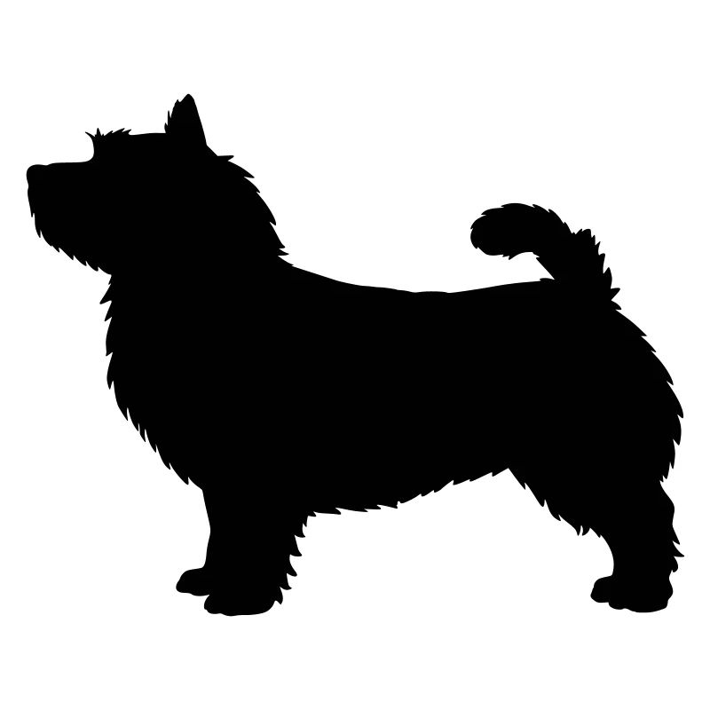 Silhouette des Norwich Terrier