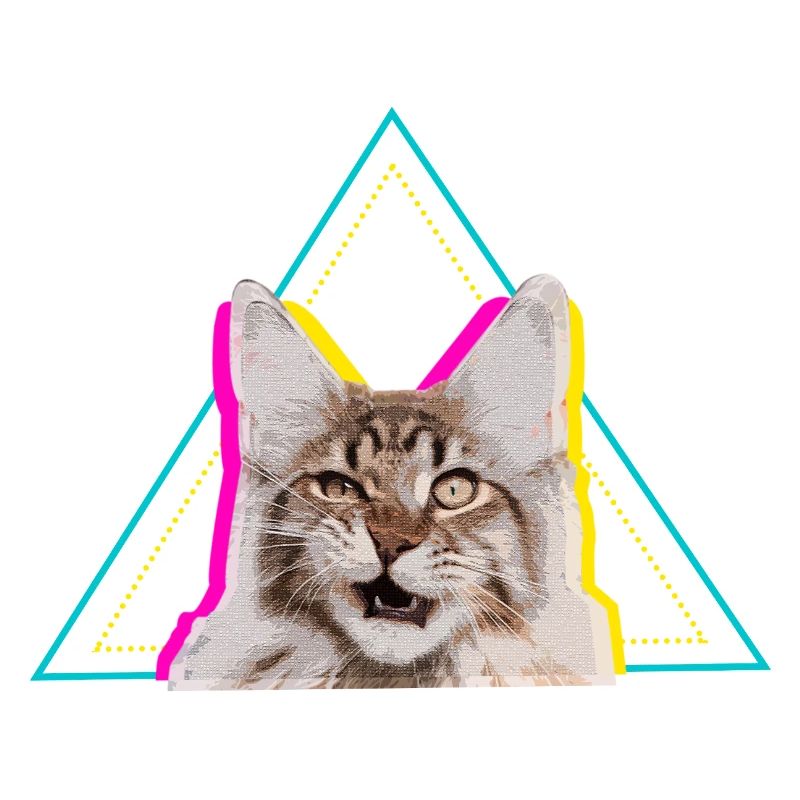 Neon Retro Cat Geometric Triangle Art