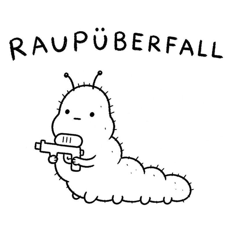 Raupüberfall