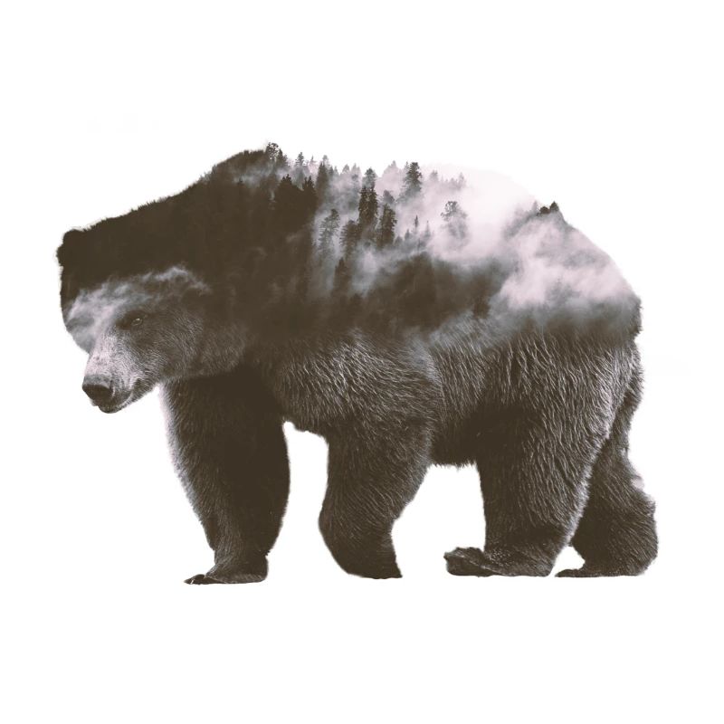 Ours