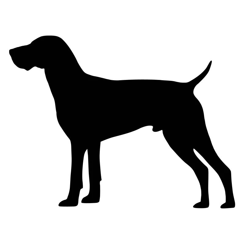 German Shorthaired Pointer