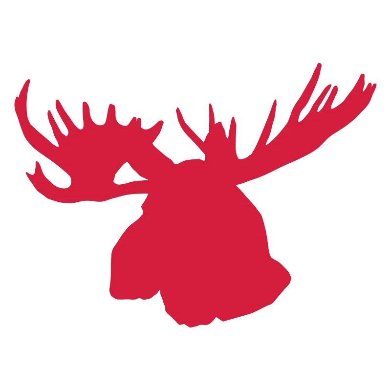 elch - moose - elk - kanada - canada