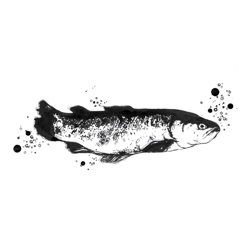 Fisch