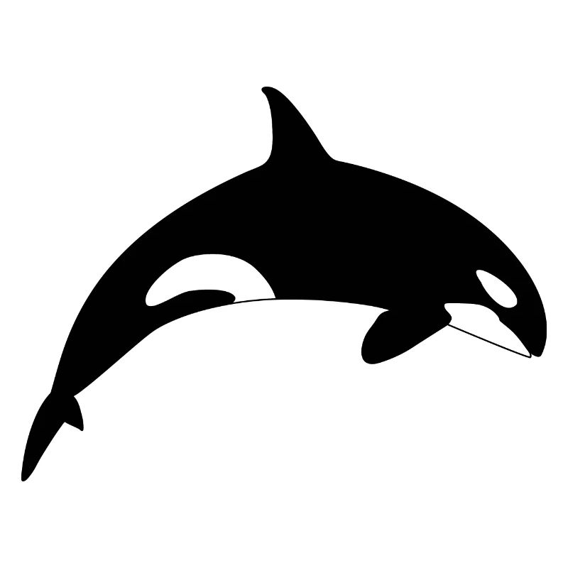 Schwertwal Orca Killerwal