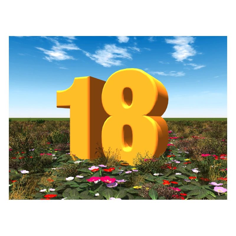 Year 18