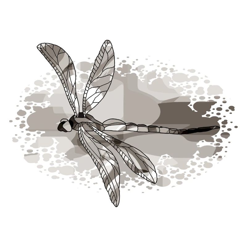 Libellule