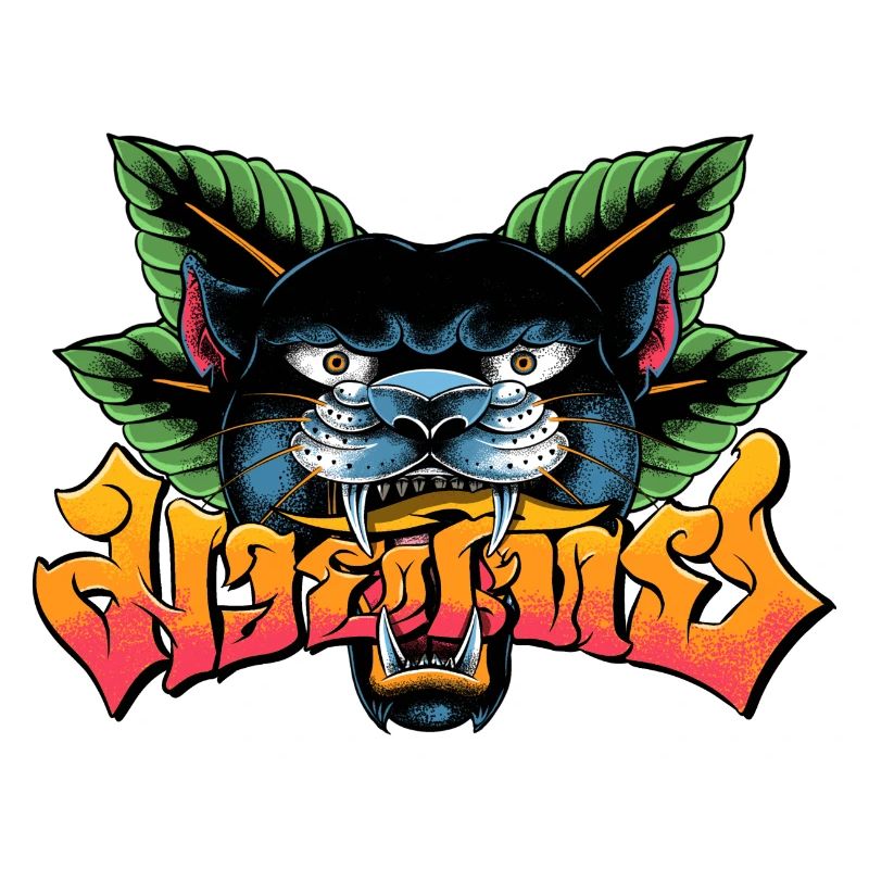 Muay Thai Boxe Panthère