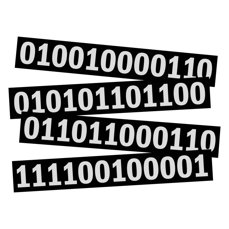 Binary Code Program Language