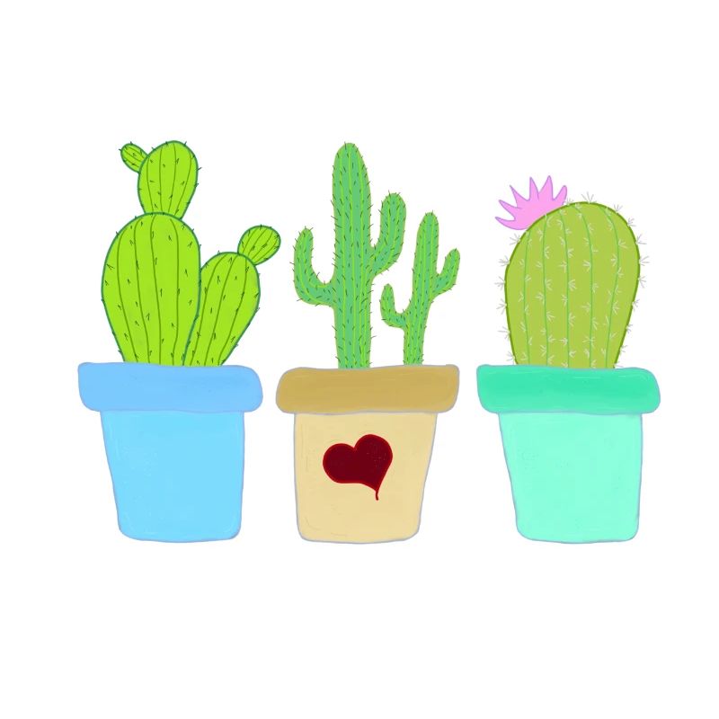 Three Cacti