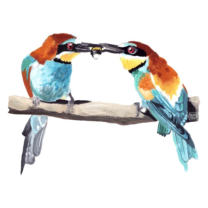 Bee-eater