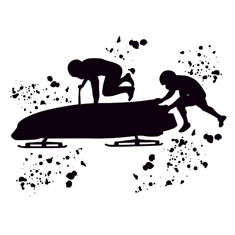 Bobsleigh Two-man Bobsleigh