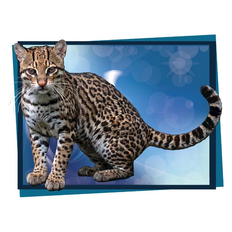 Blue Leopard Bokeh
