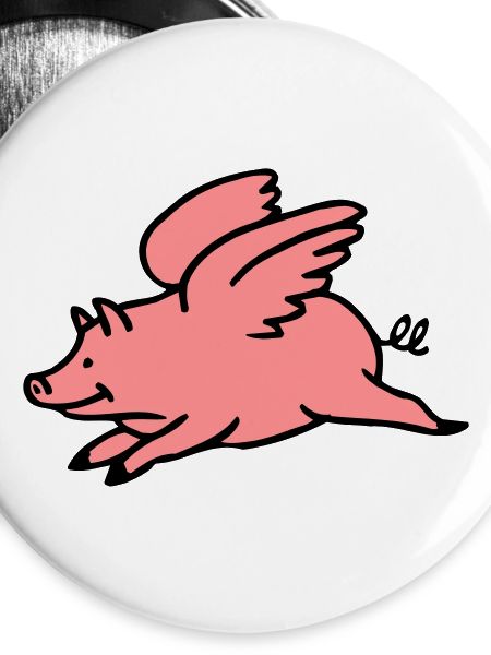 Flying Pig