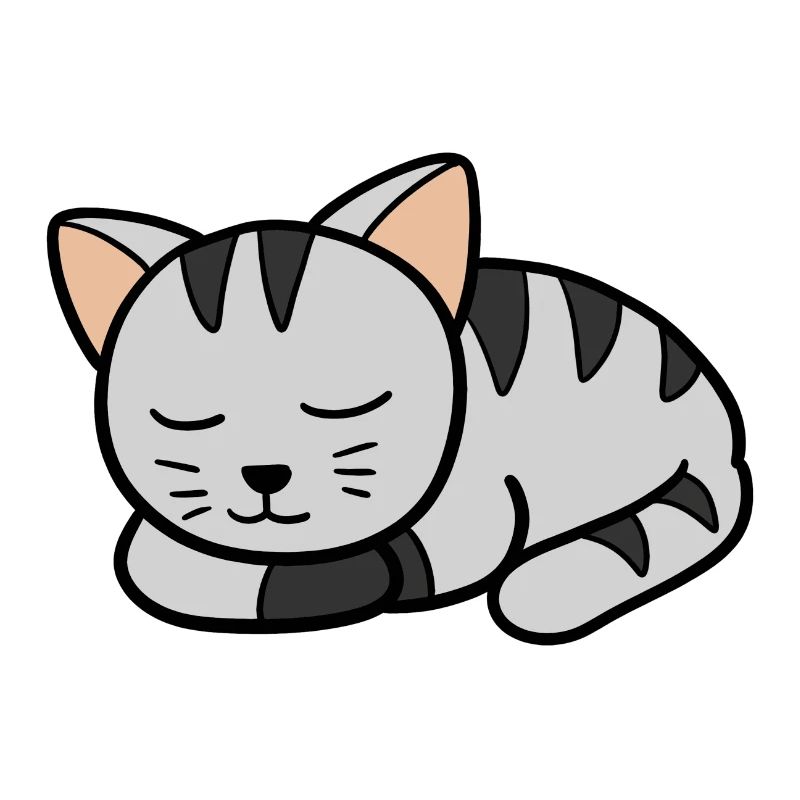 Chaton endormi