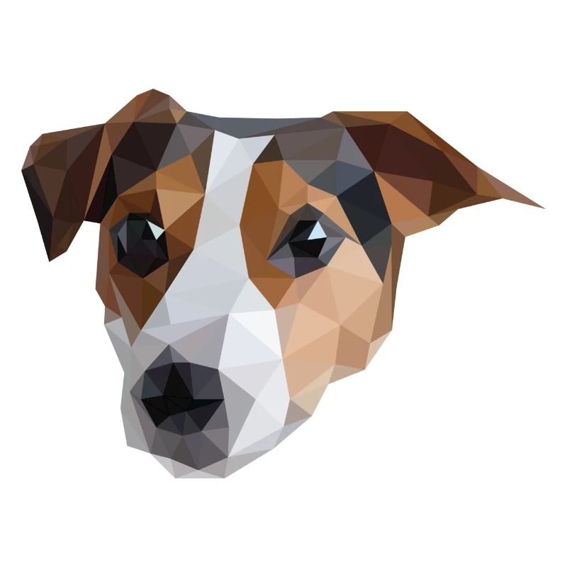 Jack Russel
