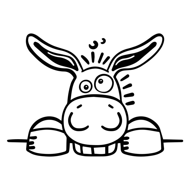 Happy Donkey