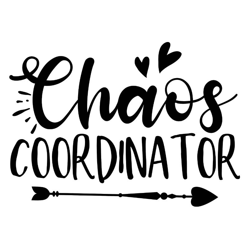 Chaos Coordinator Lustiger Spruch