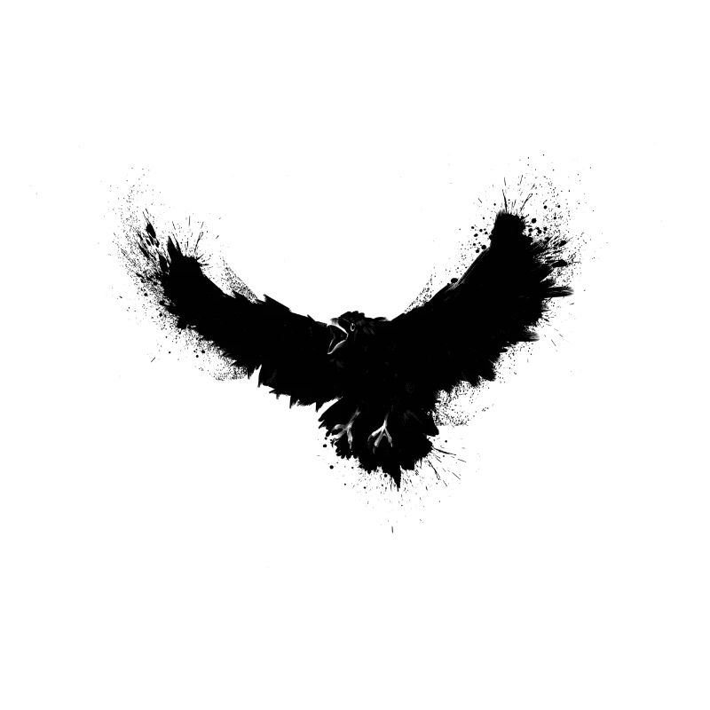 Dark Raven