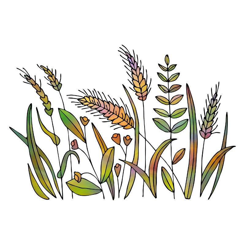 Herbe