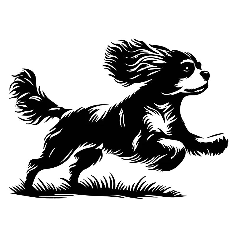 Cavalier King Charles Spaniel
