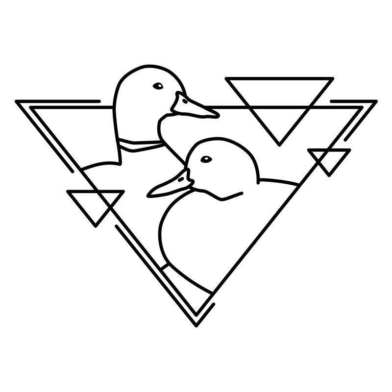 Two ducks in geometric design