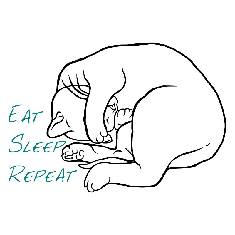Manger dormir répéter