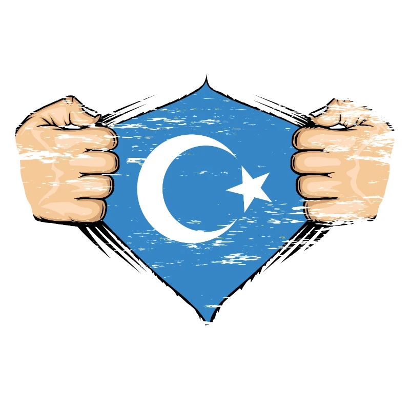 Design de drapeau ouïghour utilisé