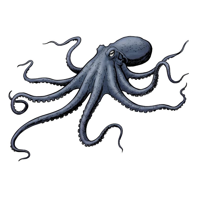 Midnight Blue Octopus Octopus
