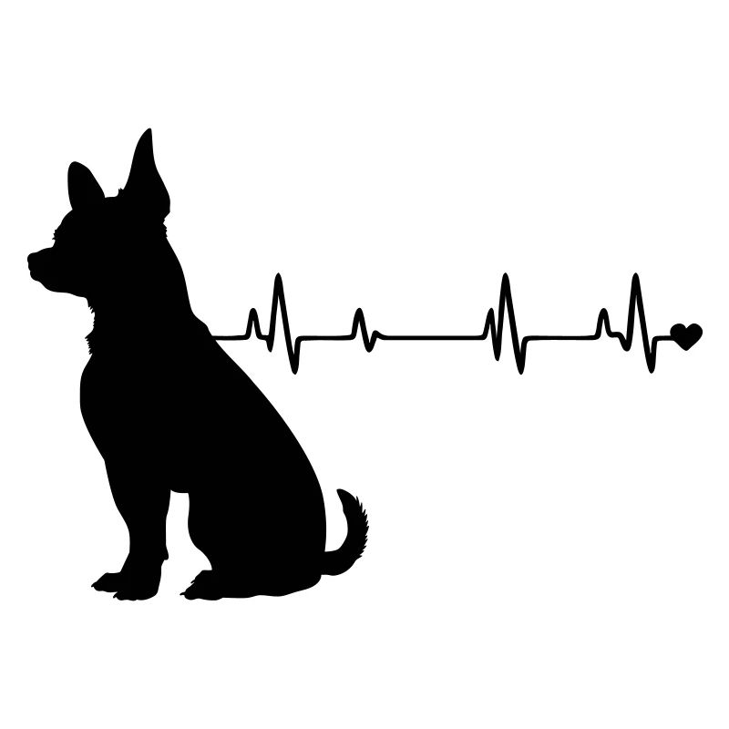 Chien