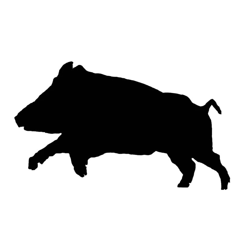 Customizable boar tshirt