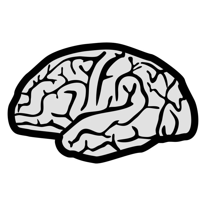 Brain
