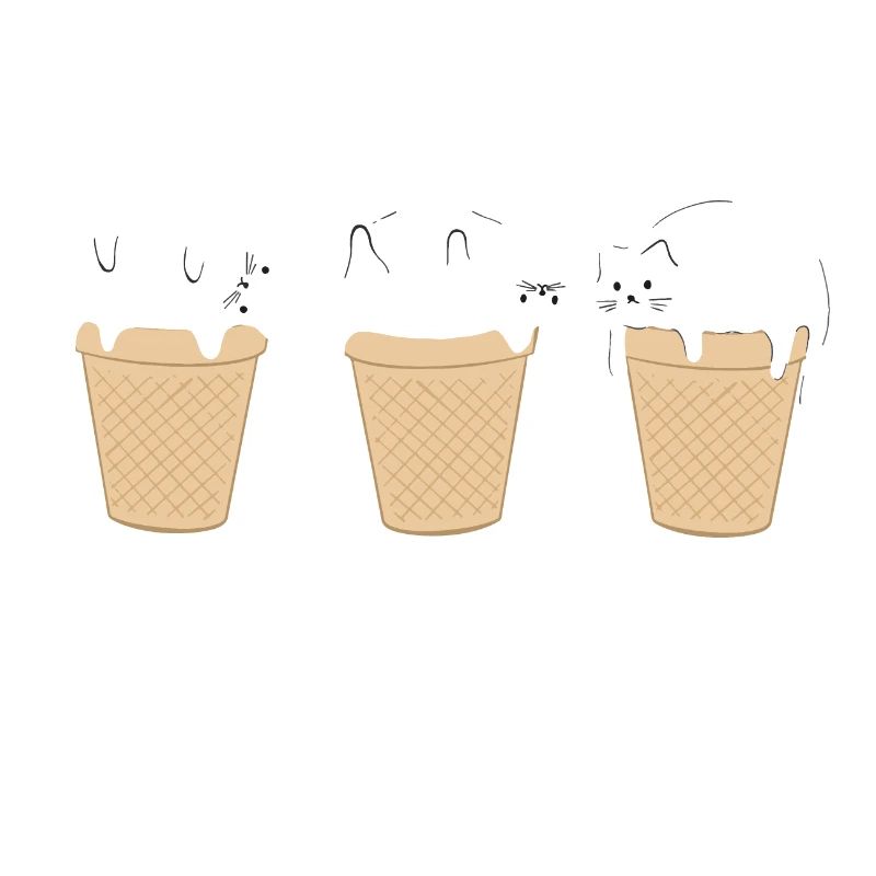Glace Glacée Chat Drôle de Chat Bébé Glace