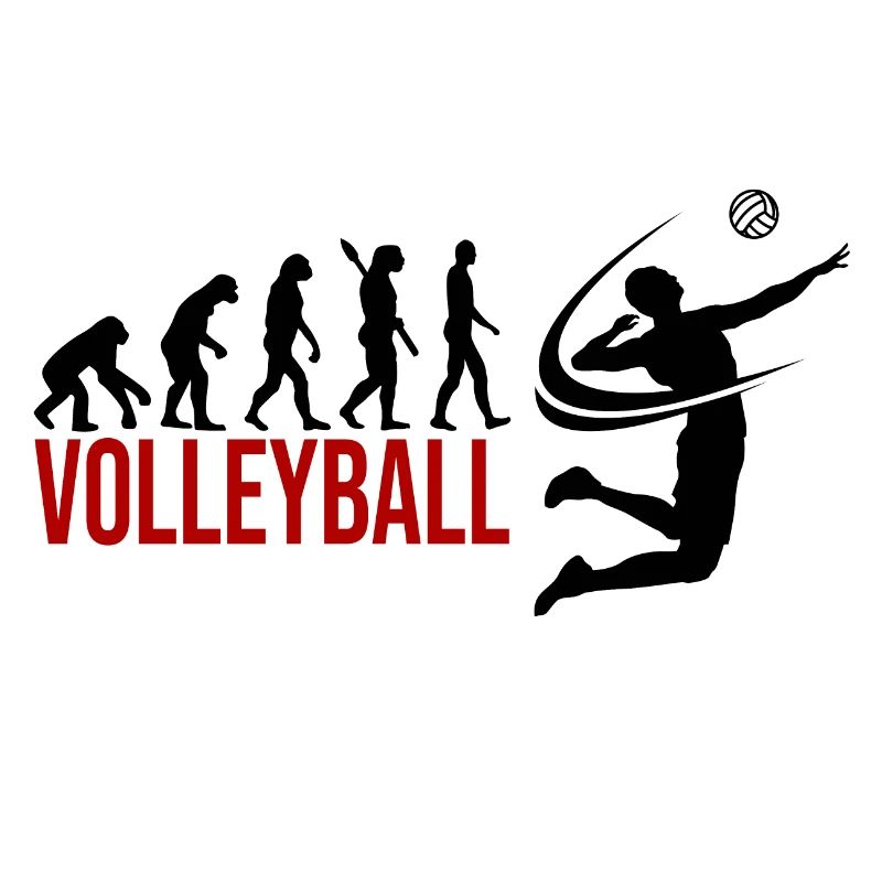 Evolution Volleyball