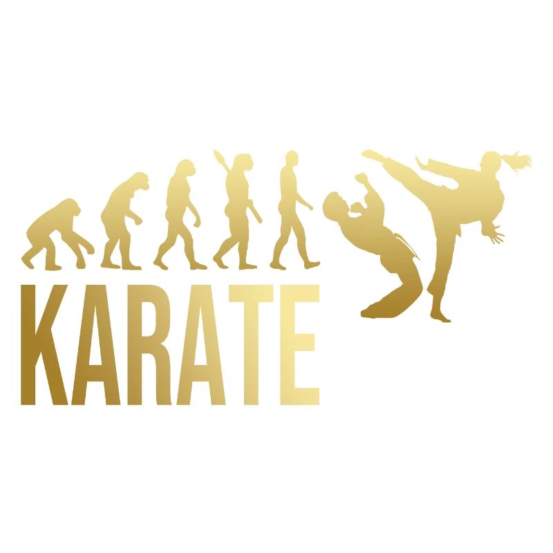 Evolution Karate