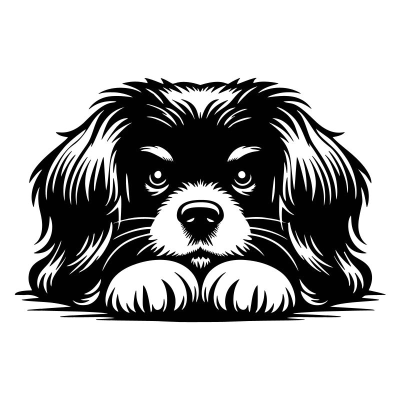 Tibetan Spaniel Head with Paws